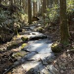 Photo taken by Daniel D