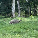 Photo taken by Norma G