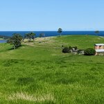 Photo taken by Daniel S