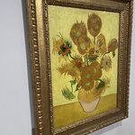 Photo taken by Shannon F