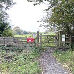 Photo taken by David L