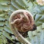 Photo taken by Ben B