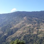 Photo taken by Graham W