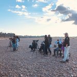 Birds watching at the bank of El Rio Tambopata | Photo taken by Elisa M