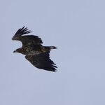 Photo taken by Iain M