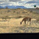 Photo taken by vedamoorthy s