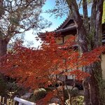 Photo taken by Glenda F