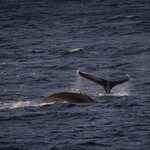 Photo taken by SANDRA V