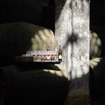 Photo taken by Karen H