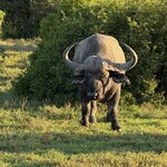 Photo taken by Martin D