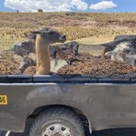 Photo taken by martin M