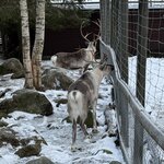 Photo taken by Nikki S