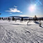 Photo taken by Caitlin P