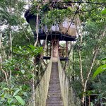 Photo taken by KLAUS A