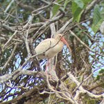 Photo taken by Bonnie Y