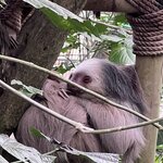 Photo taken by Sheila G