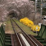 Photo taken by Ana W