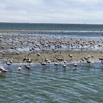 Photo taken by Michael G