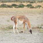 Photo taken by Raj M