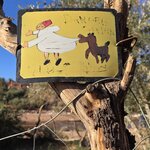 Photo taken by Shelley H