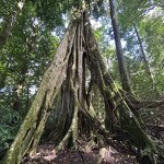 Photo taken by Peter B