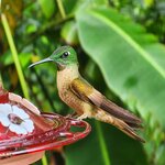 Photo taken by Lee B