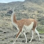 Photo taken by Amber S