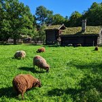 Photo taken by Emily C