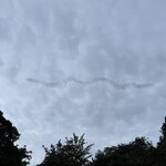 Photo taken by Edit M