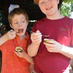 Photo taken by Brook D