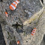 Photo taken by Jennifer B