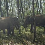 Photo taken by Amy S