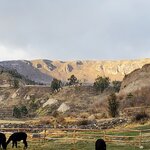 Photo taken by Helen L