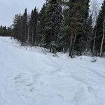 Photo taken by Beth M