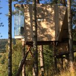 Photo taken by Sharon S