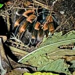 Photo taken by Lisa R