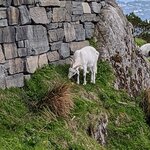 Photo taken by Karen M