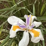 Photo taken by Solomon F