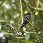 Photo taken by Chakrapani S