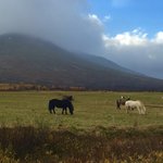 Road trip | Photo taken by Marisa K