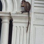 Photo taken by Tanya G