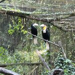 Photo taken by Brittany Leslie Lynn S