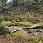 Photo taken by Aya I