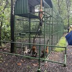 Photo taken by Sabrina R