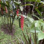 Photo taken by Alexia M