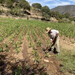 Photo taken by Martin S