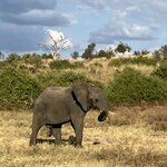 Photo taken by rhonda c