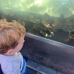 Photo taken by Elizabeth C