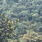 Photo taken by Randy H