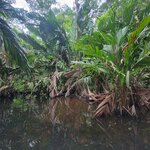 Photo taken by Darla D